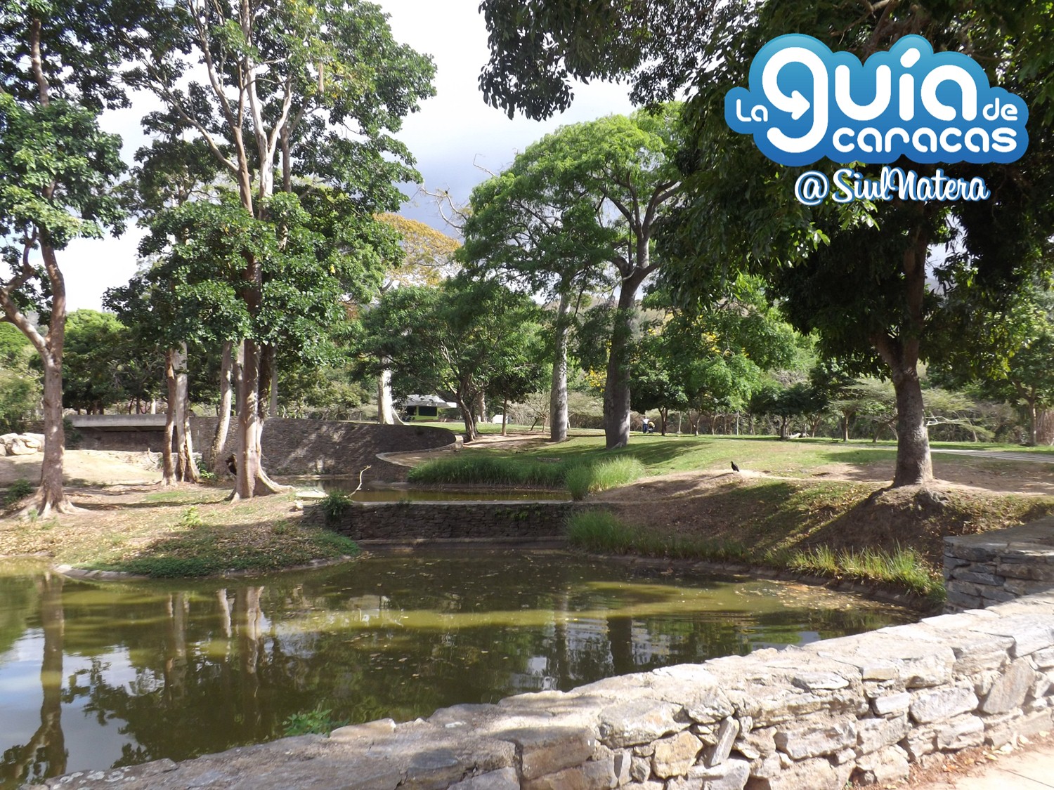 Resultado de imagen para parque zoologico de caricuao