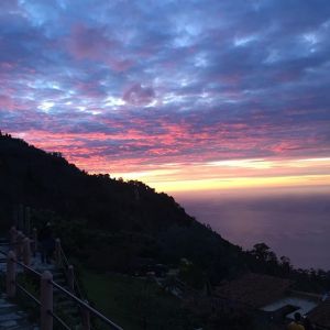 13118351_238112179882872_1899950263_n-300x300