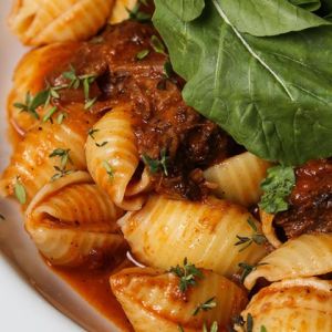 13567448_10153771505312106_6076646901206351381_n-300x300