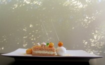 IMG_1105-1024x695-210x130