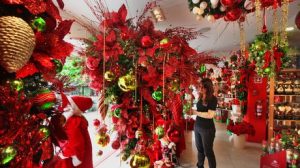 navidad-archivo_nacima20141127_0047_6