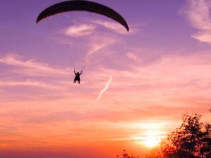 11022017-tumblr_mmrqadqsqc1sot2ooo1_500