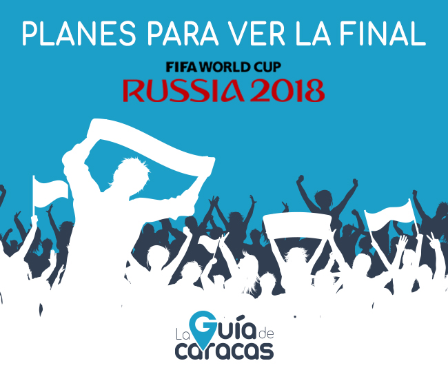 final-de-la-copa-mundial