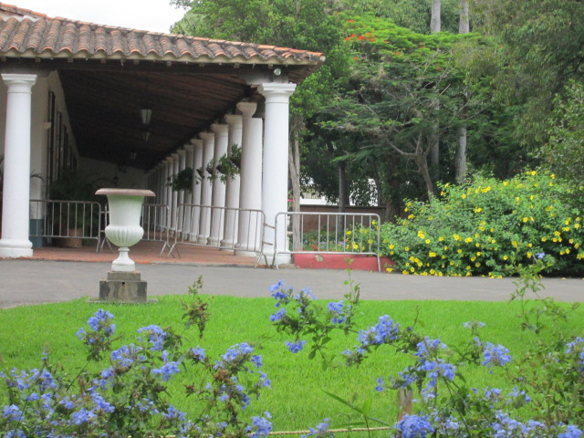 aniversario-5-cine-jardin-033