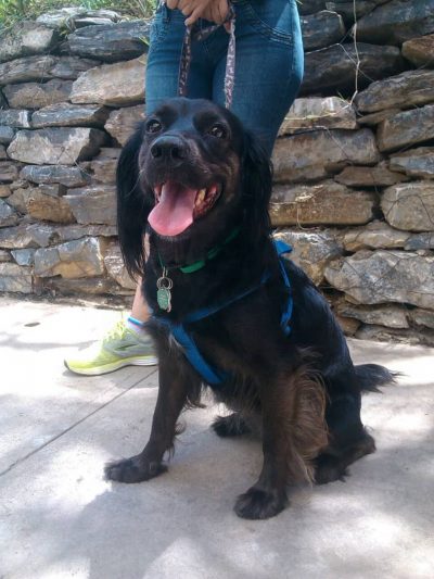 whatsapp-image-2018-08-26-at-15-44-51