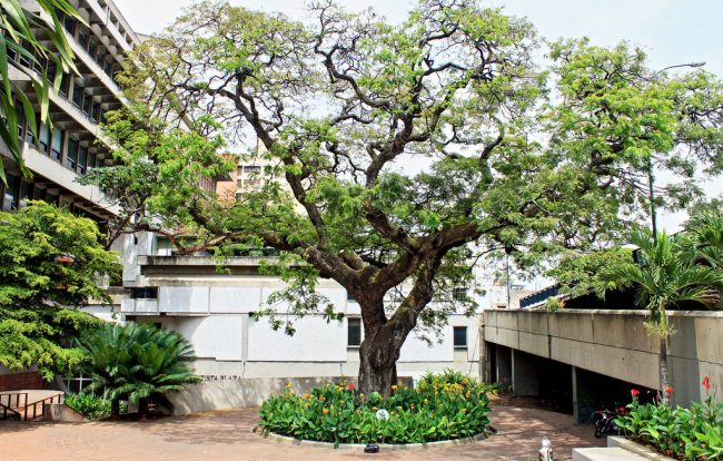 32818887646_fb5224a21d_b