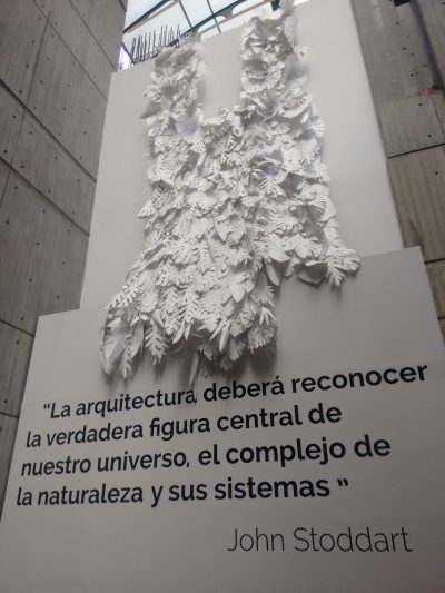 img_20181208_120223338