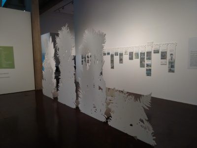 img_20181219_113740243