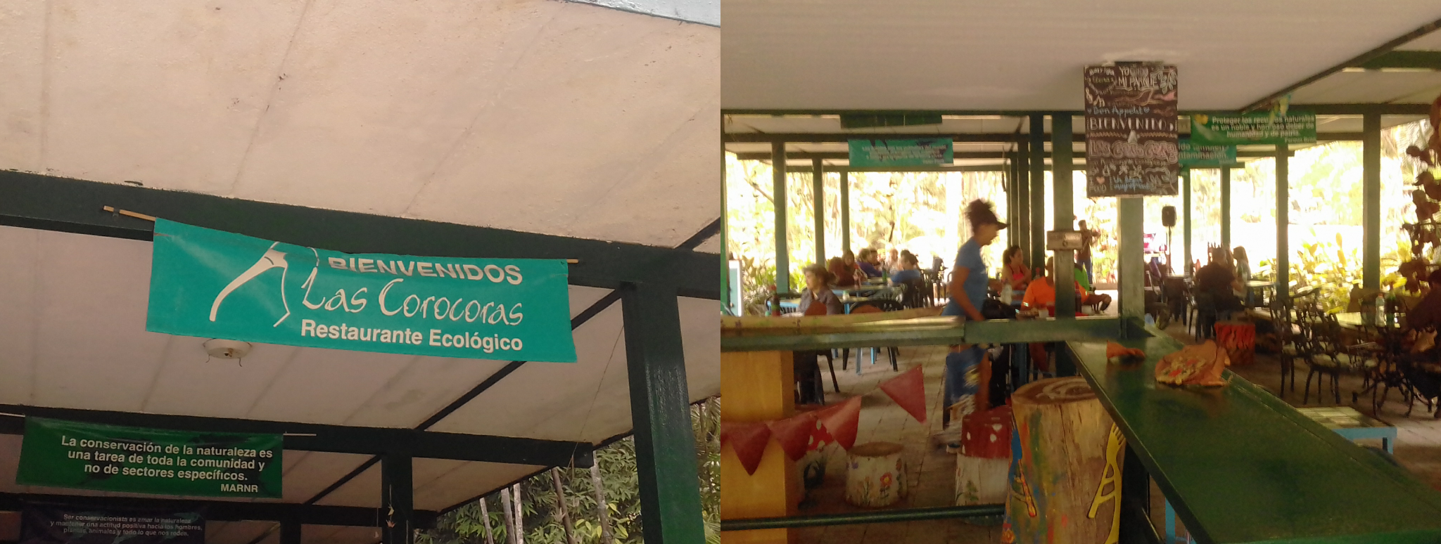 siempre_se_nos_antoja_algo_en_un_paseo_por_el_parque01