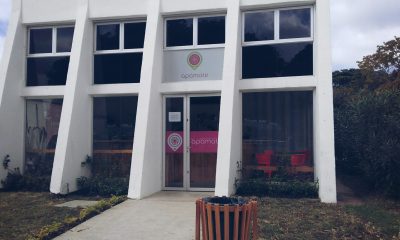 siempre_se_nos_antoja_algo_en_un_paseo_por_el_parque_parteii02