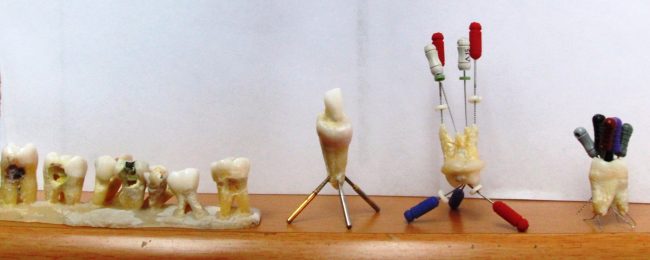 dr-pietro-cincotti-11