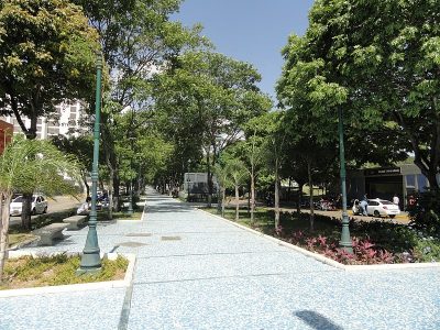 paseo-los-ilustres