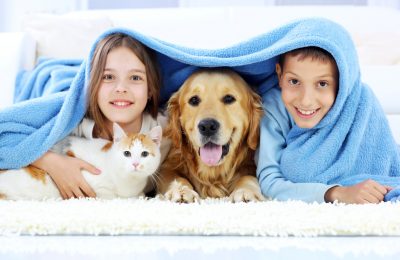 Children, dog and cat looking out the blanket.