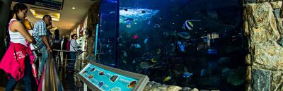 acuario
